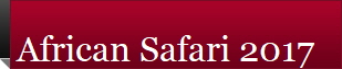 African Safari 2017