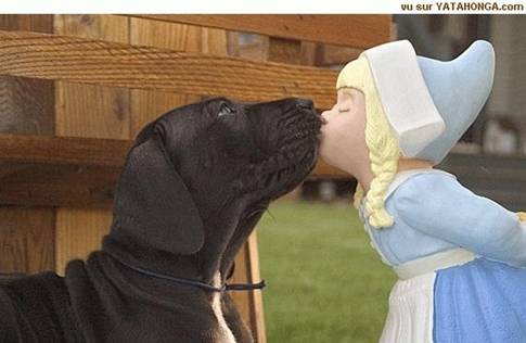 doglick doglick