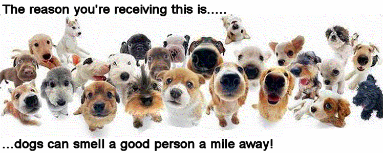 dogsniff dogsniff
