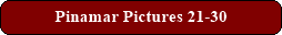 Pinamar Pictures 21-30