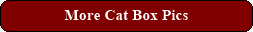 More Cat Box Pics
