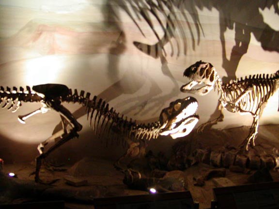 PuertoMadryn-Oct-2003-027-dinosaurs