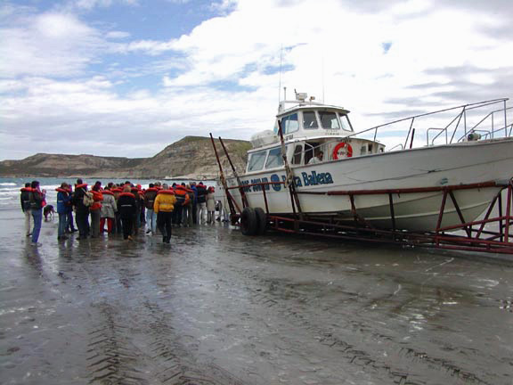 PuertoMadryn-Oct-2003-040-boardingboat1