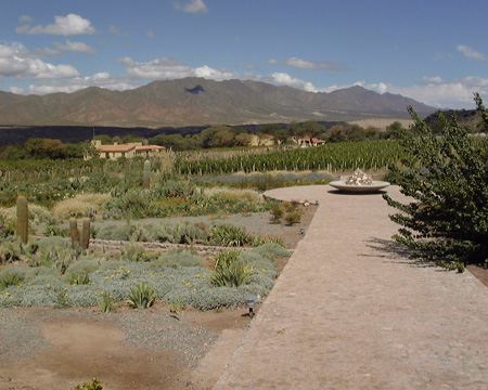 Salta-Apr-03-Pete-020