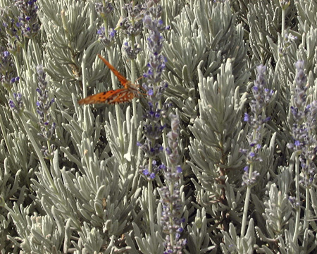 Salta-Apr-03-Pete-024