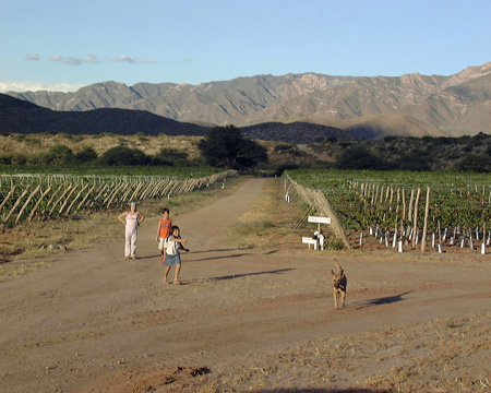 Salta-Apr-03-Pete-031