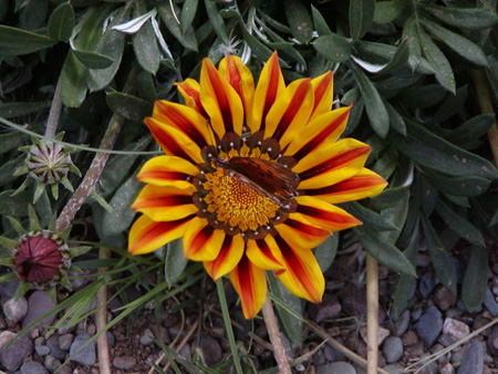 Salta-Apr-03-Ron-050