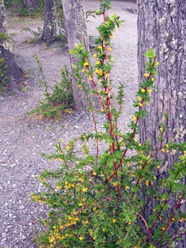 10-26-05-Calafayte-20