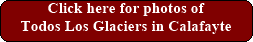 Todos Los Glaciers