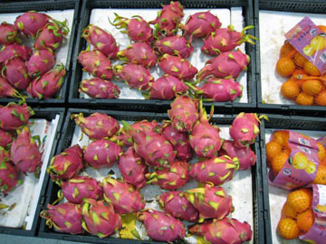 Ron-China-June-2007-0871