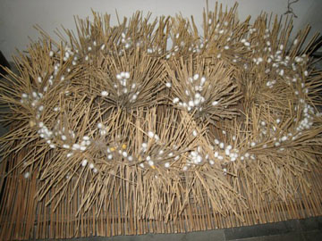 Ron-China-June-2007-1147