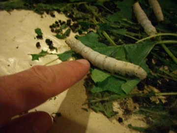 pej-China-June-2007-0748