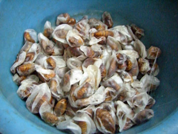 pej-China-June-2007-0757