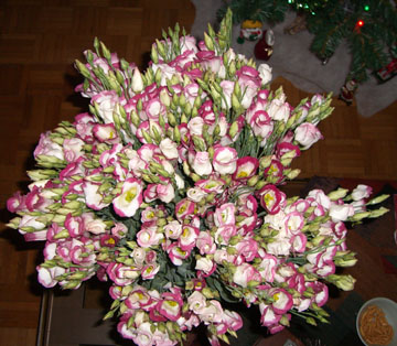 newyearseve-2007-2008-09