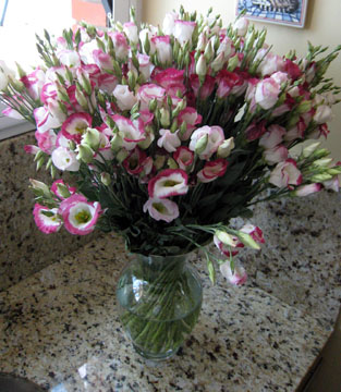 newyearseve-2007-2008-23