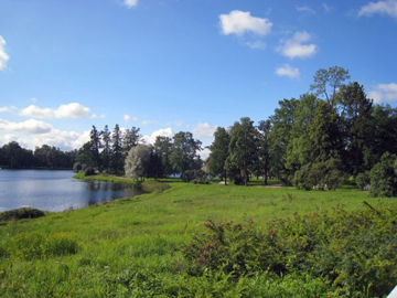 ron-russia-cptr-11-05