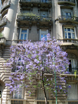 alberto-jorge-wedding-ronpics-01