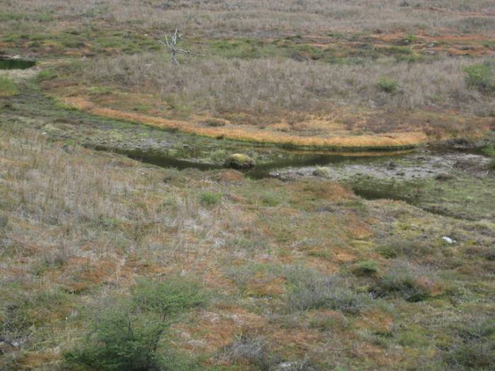 ron-antartica-2008-01-15