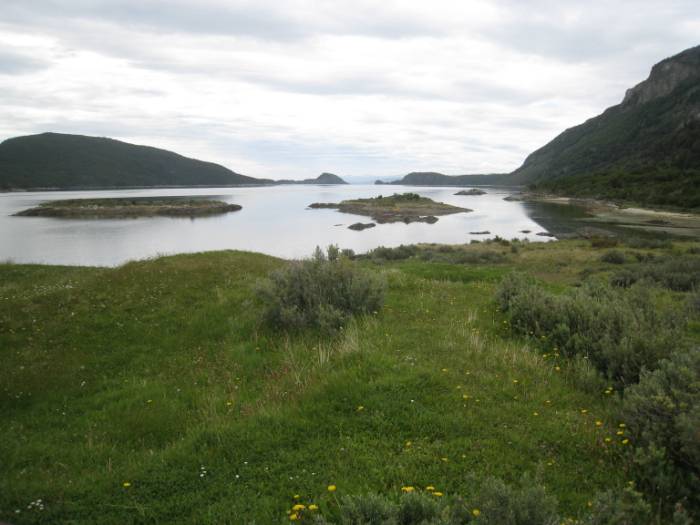 ron-antartica-2008-01-20