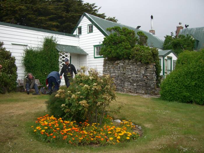 ron-antartica-2008-02-28