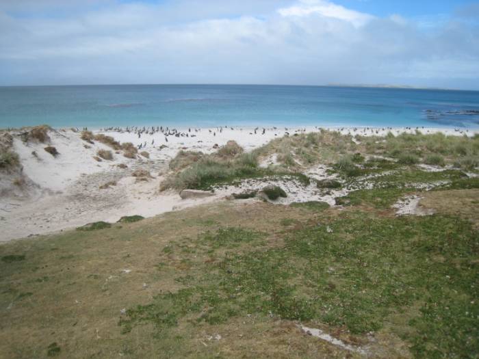 ron-antartica-2008-02-35