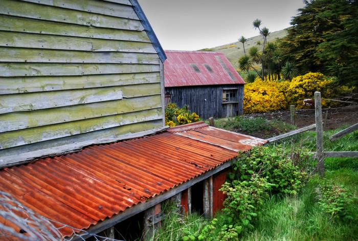 ron-antartica-2008-02-38