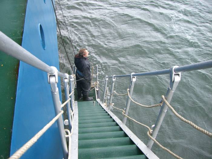 ron-antartica-2008-03-04