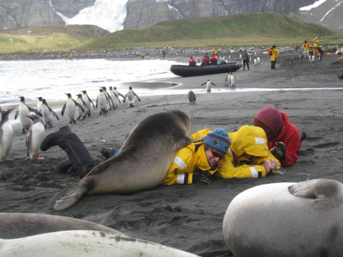 ron-antartica-2008-04-12