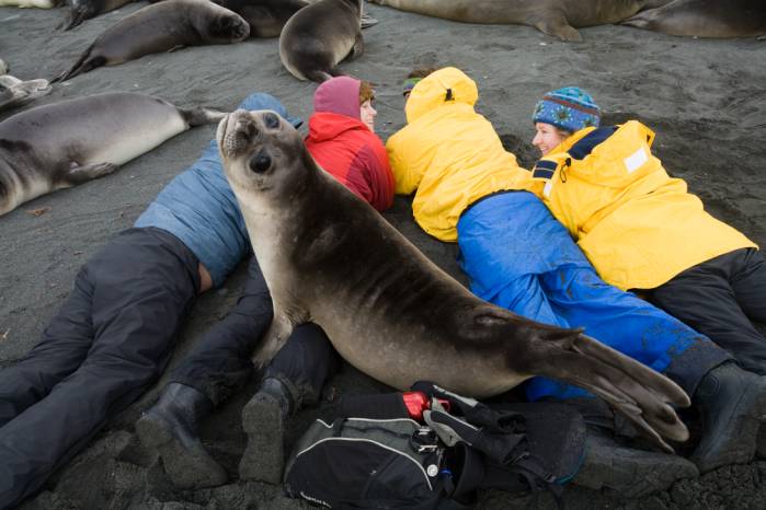 ron-antartica-2008-04-13