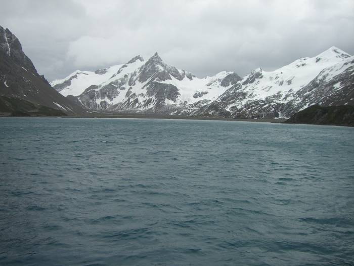 ron-antartica-2008-04-18