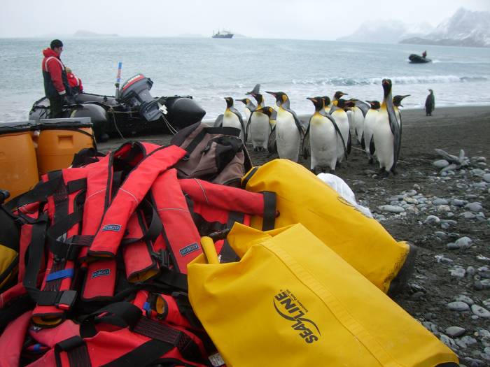 ron-antartica-2008-04-20