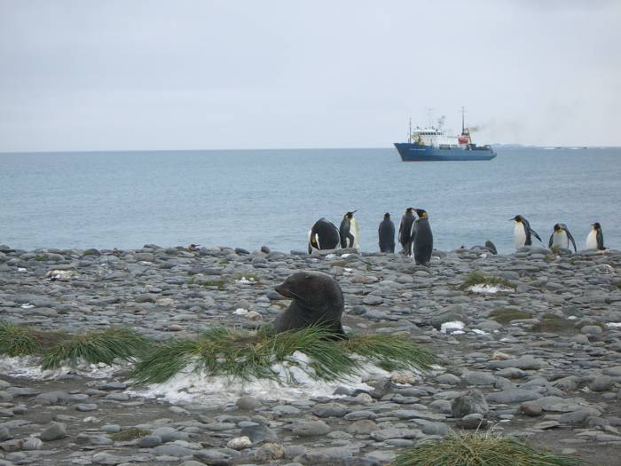 ron-antartica-2008-04-22