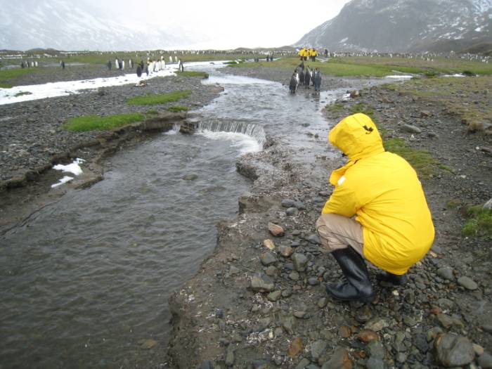 ron-antartica-2008-04-32