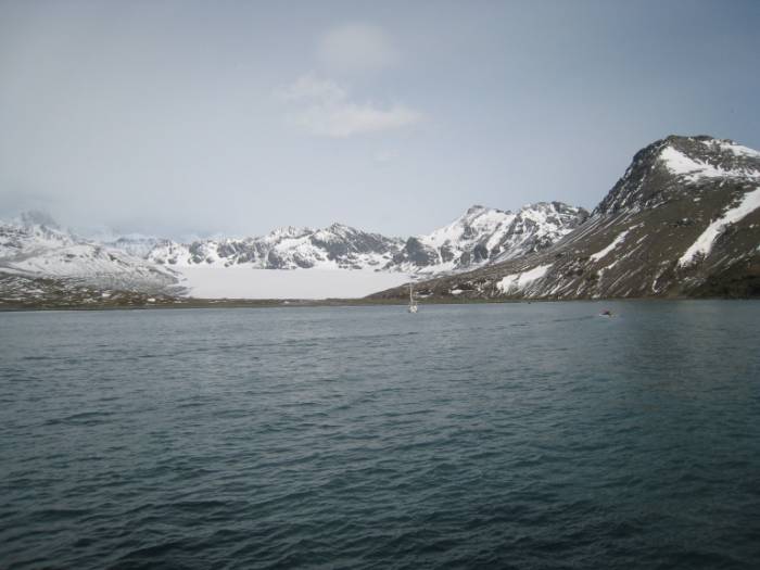 ron-antartica-2008-05-02