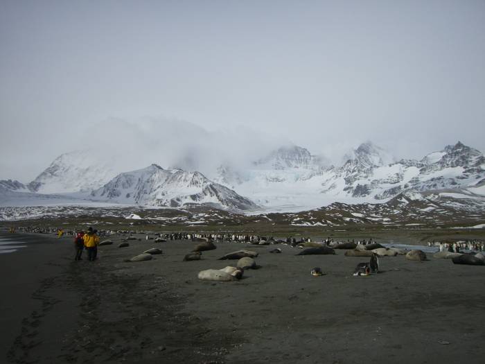 ron-antartica-2008-05-05