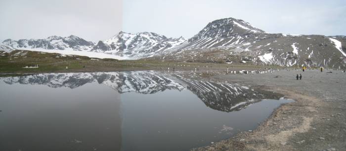 ron-antartica-2008-05-09