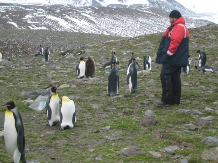 ron-antartica-2008-05-16