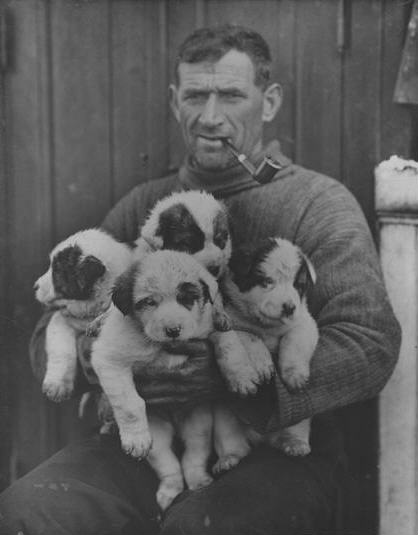 ron-antartica-2008-05-33