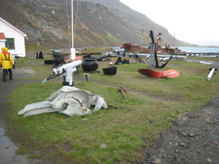 ron-antartica-2008-05-34