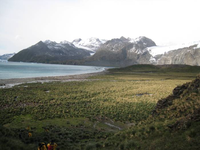 ron-antartica-2008-06-13