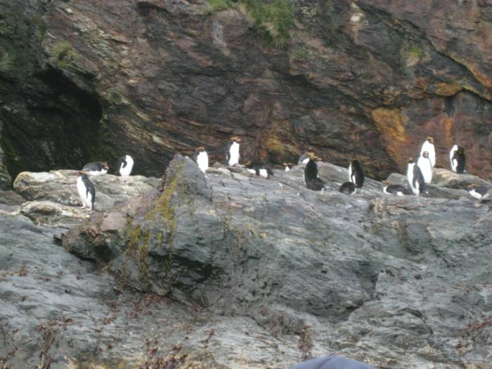 ron-antartica-2008-06-23