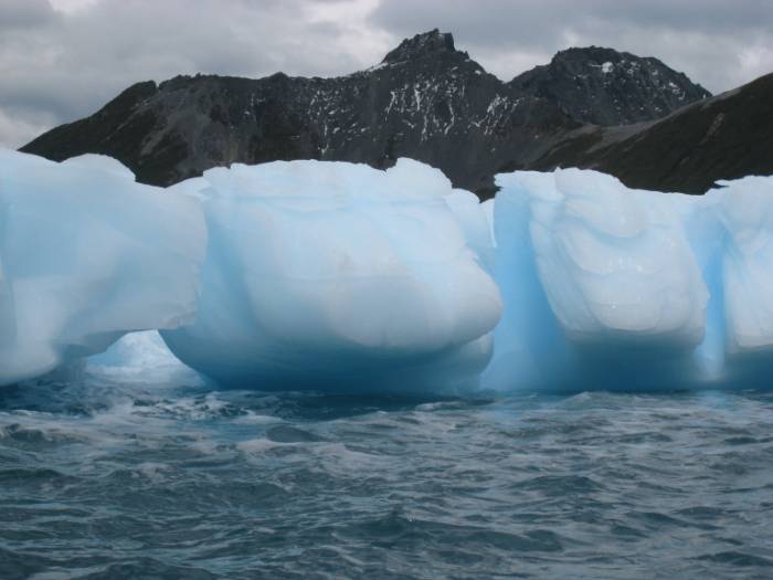 ron-antartica-2008-06-29