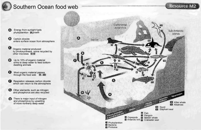 ron-antartica-2008-07-22