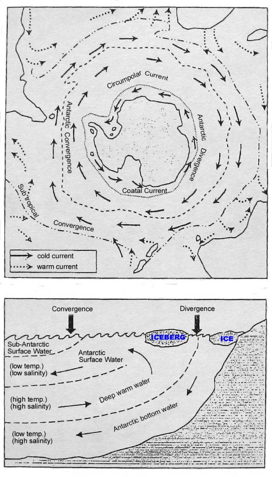 ron-antartica-2008-07-23