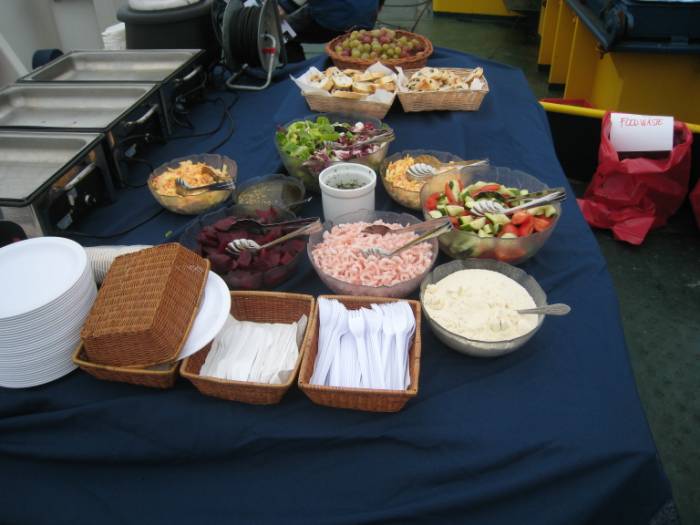 ron-antartica-2008-07-25