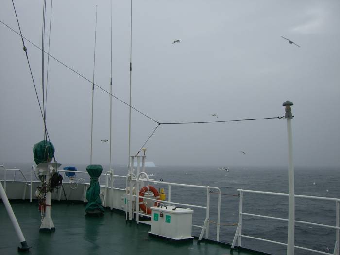 ron-antartica-2008-07-34