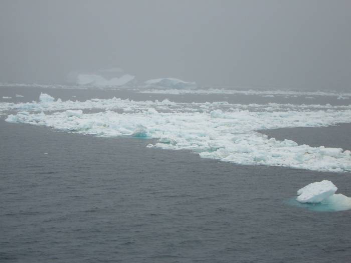 ron-antartica-2008-07-38