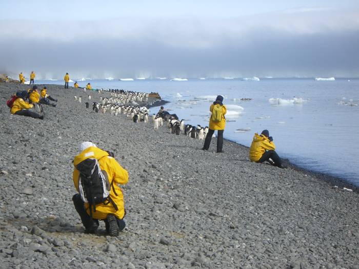 ron-antartica-2008-08-12