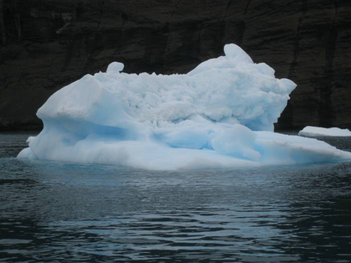 ron-antartica-2008-08-21