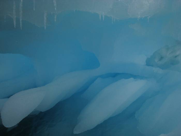 ron-antartica-2008-08-23